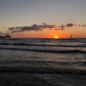 Meet your Posher, Arianna